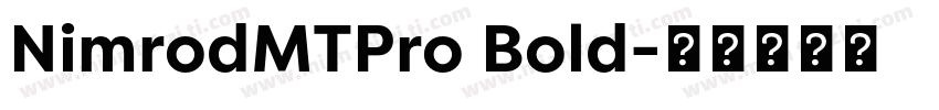 NimrodMTPro Bold字体转换